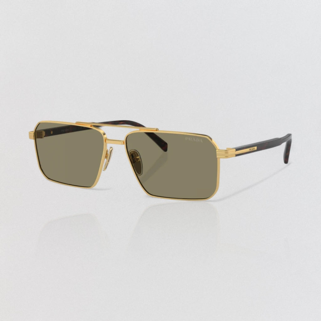 BVL4019